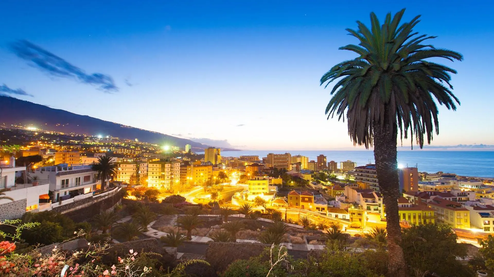 Home2Book Stylish Drago Apt Puerto De La Cruz
